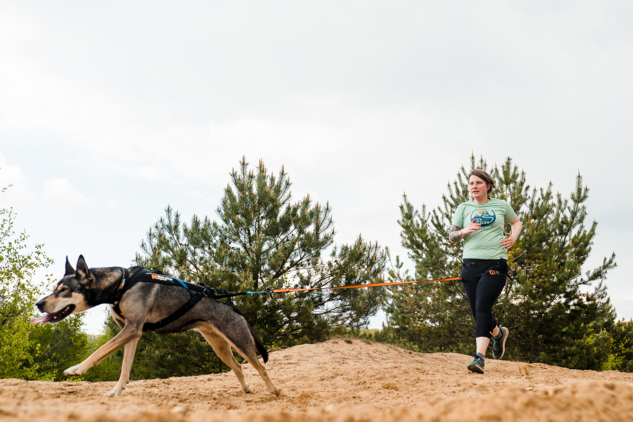 Non-stop dogwear BUNGEE LEASH 2.0 2 M – Zugleine für Zughundesport – Bild 5