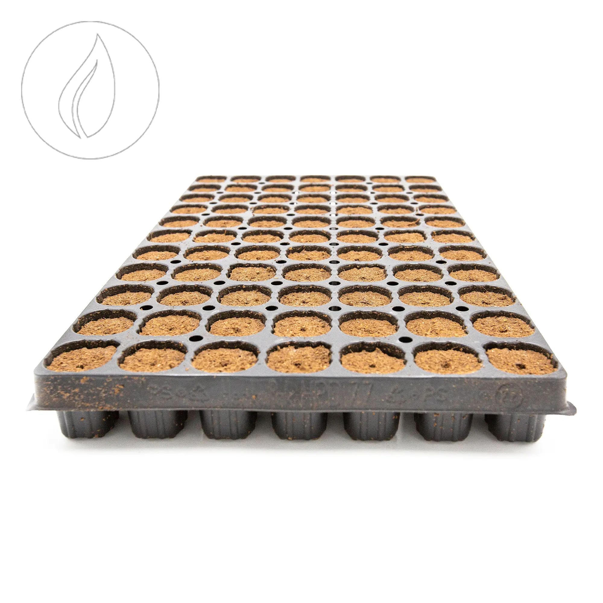 Intra Plug 77er Tray Coco