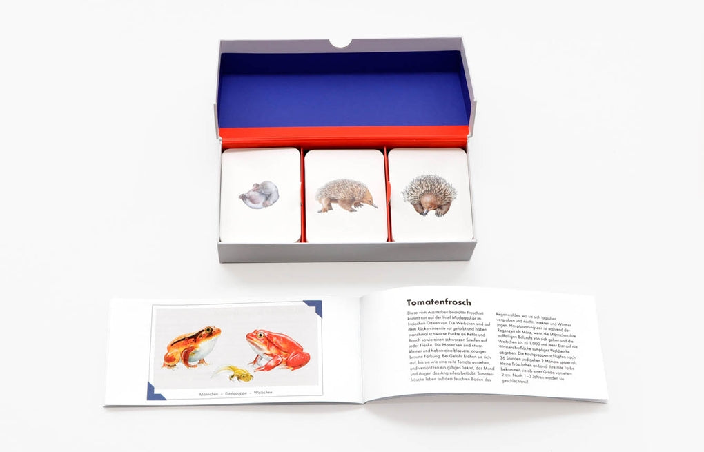 Tierfamilien-Memo von Laurence King Verlag – Bild 4