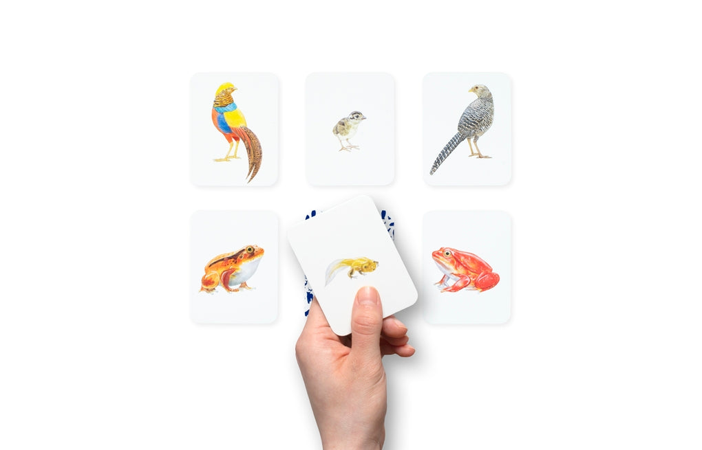 Tierfamilien-Memo von Laurence King Verlag – Bild 7