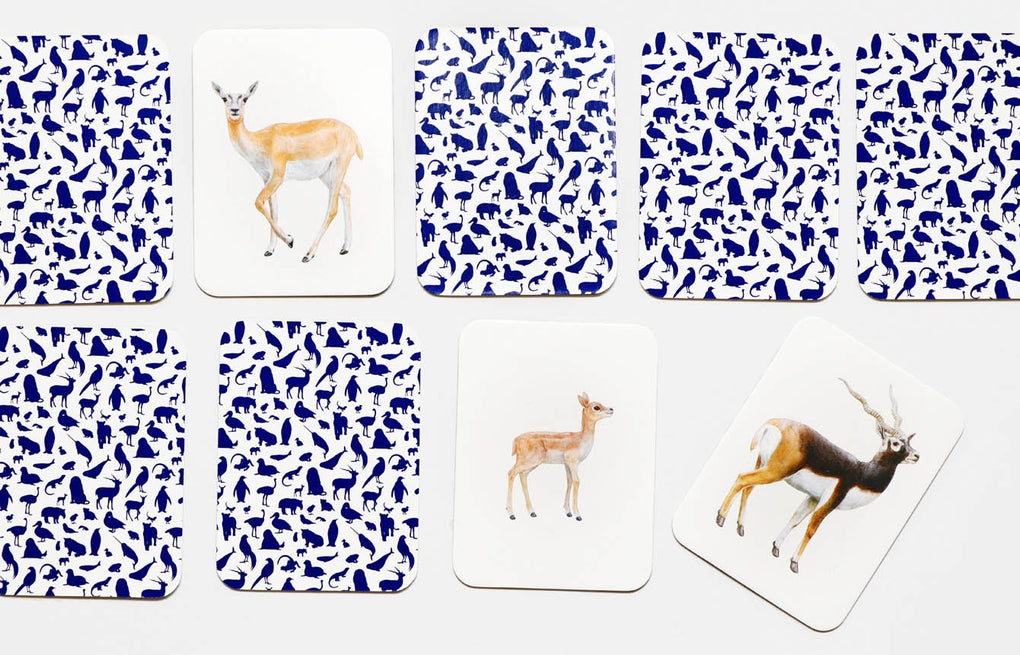 Tierfamilien-Memo von Laurence King Verlag – Bild 8